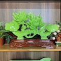 QUYỀN TRƯỢNG HOA MẪU ĐƠN 
